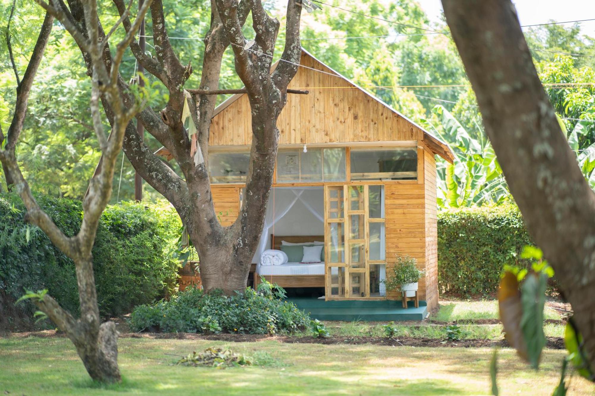 Mkoani Homestay Moshi Exteriör bild